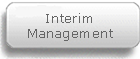 Leistungsspektrum, Interim Management